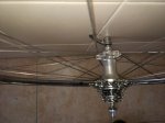 IMG_20170128_145309.jpg
