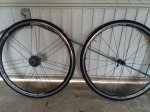20170131_080936.jpg