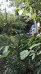 IMG-20160605-WA0004.jpg
