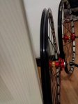 IMG_20170131_214425.jpg