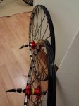 IMG_20170131_214445.jpg