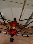 IMG_20170131_214255.jpg