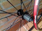 IMG_20170201_150105.jpg