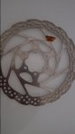 20170202_113805.jpg