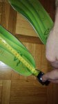 IMG_20170204_110409.jpg