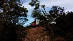 IMG-20170204-WA0033.jpg