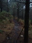 IMG_20170204_172138.jpg