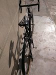 IMG_20170205_131313.jpg