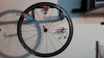 IMG-20170205-WA0012.jpg