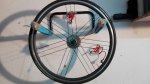IMG-20170205-WA0010.jpg