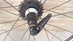 IMG-20170129-WA0009.jpeg