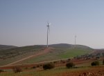 molinos.jpg