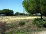Antiguo campo de futbol 2.jpg