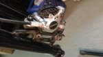 20170206_091826.jpg