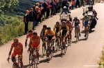 tdf00af-madeleine-1100.jpg