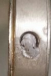 06Detalle de lengua.jpg