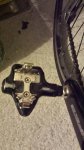 IMG-20170208-WA0020.jpg
