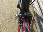 IMG_20170208_130024.jpg