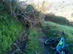 IMG-20170210-WA0003.jpg