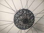 IMG-20170210-WA0016.jpg