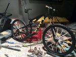 IMG-20161006-WA0016.jpg