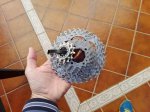IMG_20170129_095434.jpg