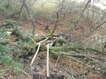 IMG-20161211-WA0007.jpg
