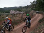 IMG-20170212-WA0007.jpg