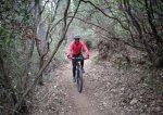 IMG-20170212-WA0010-01.JPG