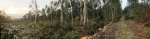 Panorama 1.JPG
