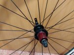 IMG-20170218-WA0002.jpg