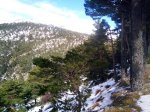 IMG_20170218_115636.jpg