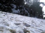 IMG_20170218_115931.jpg
