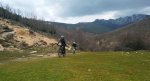 IMG_20170218_140446.jpg