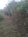 IMG-20170218-WA0037.jpg