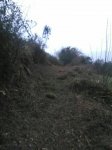 IMG-20170218-WA0040.jpg