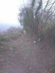 IMG-20170218-WA0035.jpg