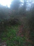 IMG-20170218-WA0041.jpg