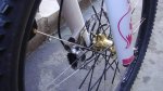 DSC03231.JPG