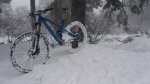 IMG_20170211_134251.jpg