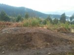IMG-20170218-WA0008.jpg