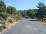 dsc04994__medium_.jpg
