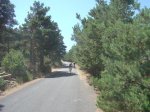 dsc04993__medium_.jpg