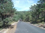 dsc04995__medium_.jpg