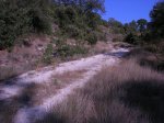 DSCN0491.JPG