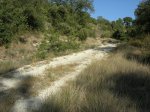 DSCN0493.JPG