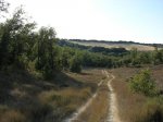 DSCN0494.JPG