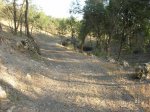 DSCN0502.JPG