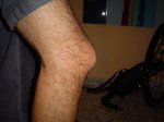 DSC00678.jpg
