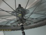 Imagen 054.jpg
